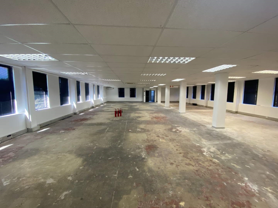 To Let commercial Property for Rent in Observatory Western Cape